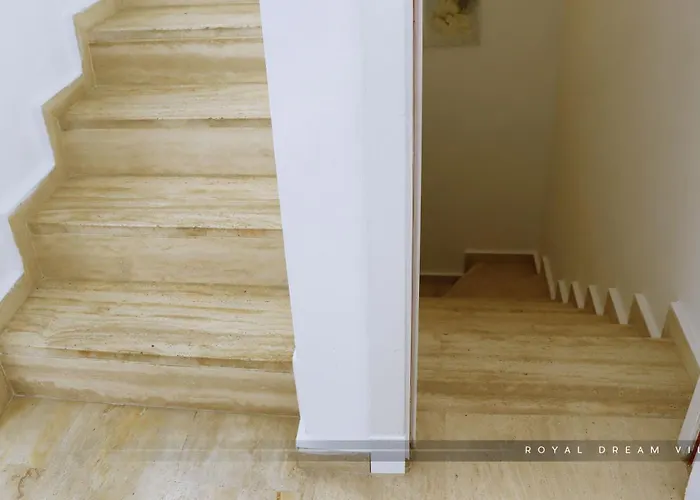 Royal Modern *